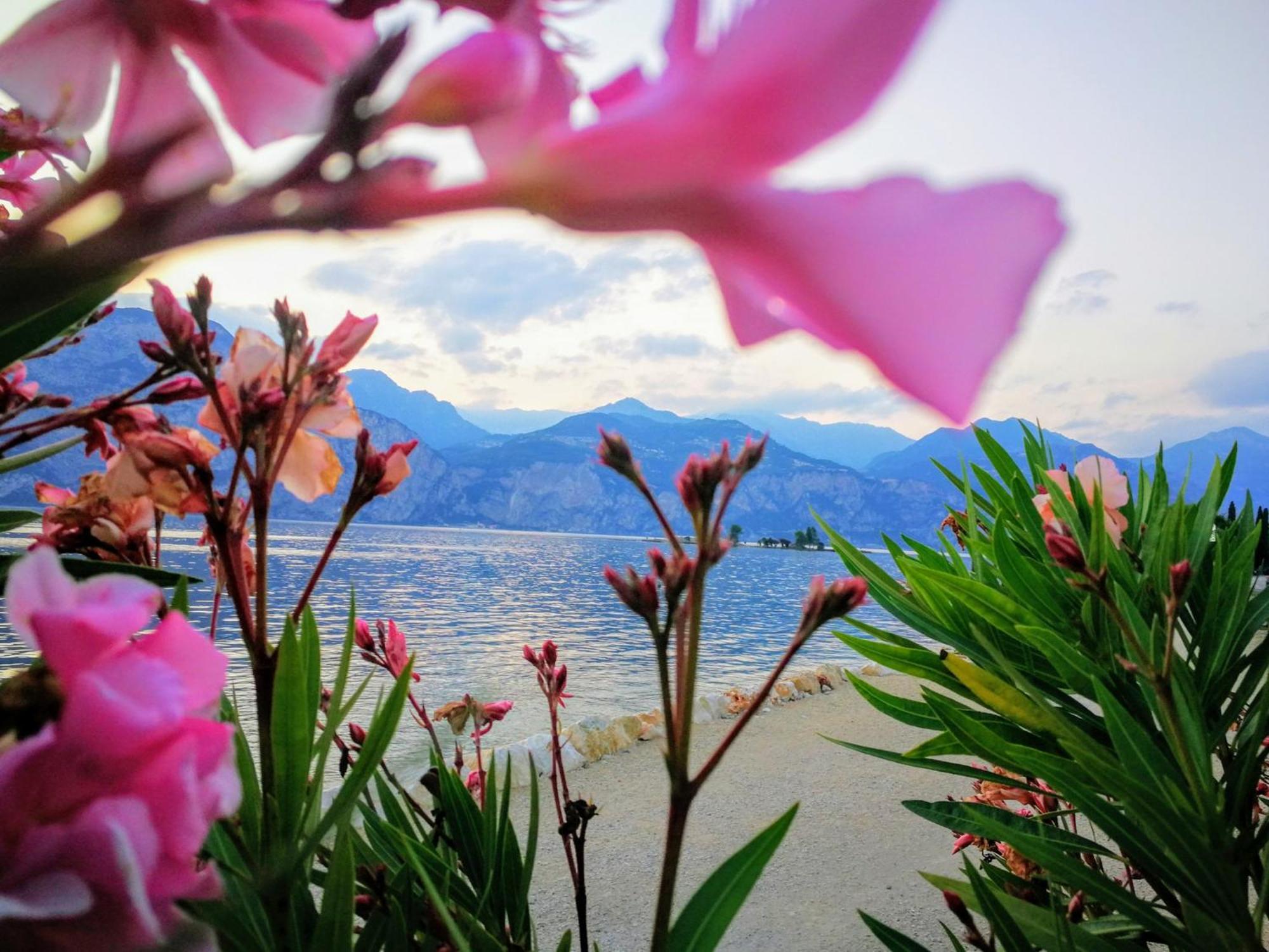 Hotel Drago - Garda Lake Collection Brenzone sul Garda Exterior foto